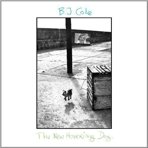 B.J. Cole: New Hovering Dog - （ VINYL LP ）