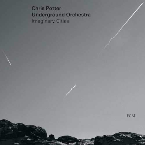 Chris Underground Orchestra Potter: Chris Potter Orchestra - （ VINYL LP ）