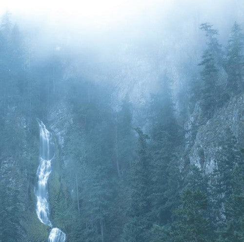 Wolves in the Throne Room: Diadem Of 12 Stars - （ VINYL LP ）