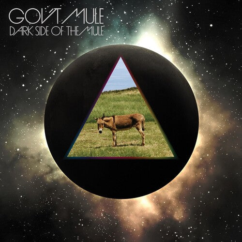 Gov't Mule: Dark Side of the Mule - （ VINYL LP ）