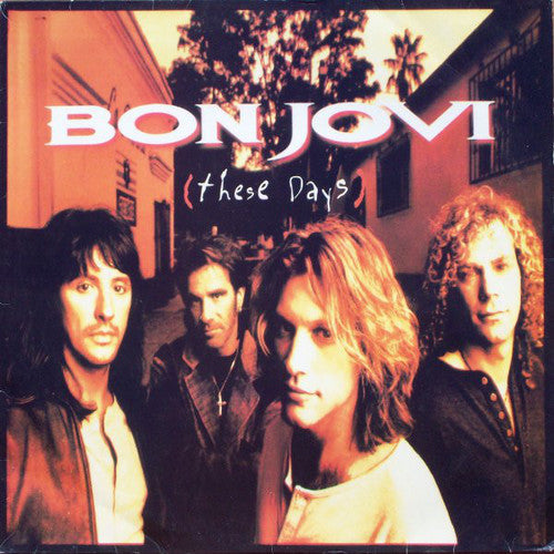 Bon Jovi: These Days - （ VINYL LP ）