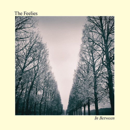 The Feelies: In Between - （ VINYL LP ）