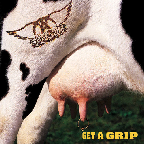 Aerosmith: Get A Grip - （ VINYL LP ）
