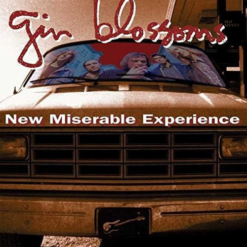 Gin Blossoms: New Miserable Experience - （ VINYL LP ）