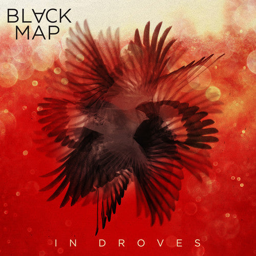 Black Map: In Droves - （ VINYL LP ）