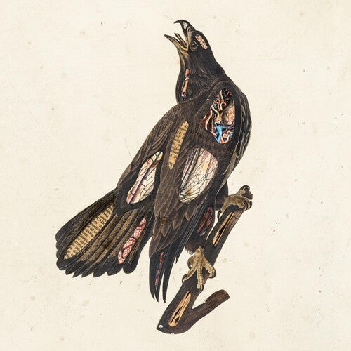 Clutch: Book Of Bad Decisions - （ VINYL LP ）