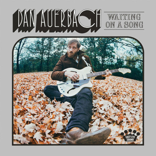 Dan Auerbach: Waiting on a Song - （ VINYL LP ）