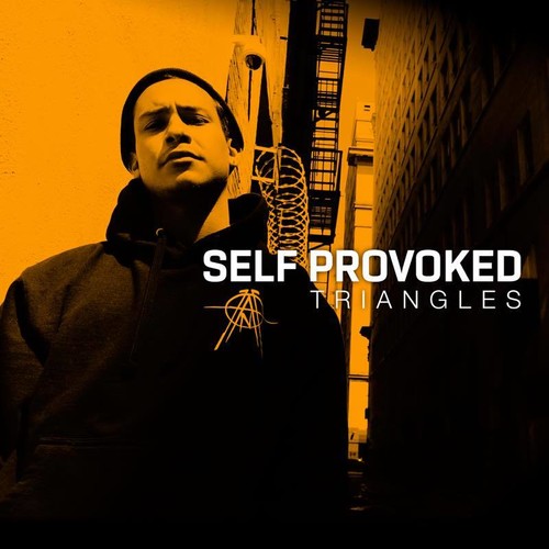 Self Provoked: Triangles - （ VINYL LP ）