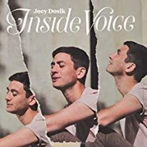 Joey Dosik: INSIDE VOICE - （ VINYL LP ）