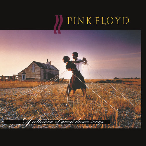 Pink Floyd: A Collection Of Great Dance Songs - （ VINYL LP ）