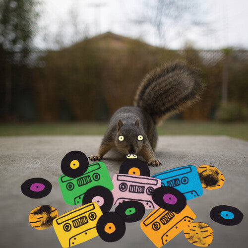 Evidence: Squirrel Tape Instrumentals 1 - （ VINYL LP ）