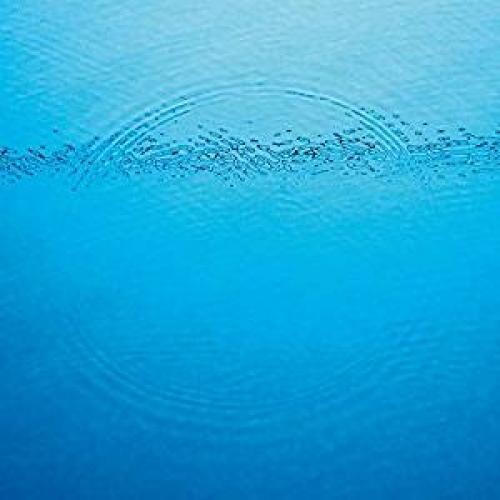 Caribou: Suddenly - （ VINYL LP ）