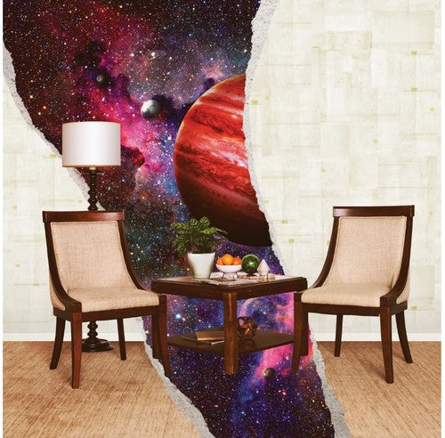 Rainbow Kitten Surprise: How To: Friend, Love, Freefall - （ VINYL LP ）