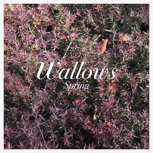 Wallows: Spring - （ VINYL LP ）