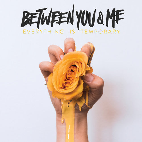 Between You & Me: Everything Is Temporary - （ VINYL LP ）