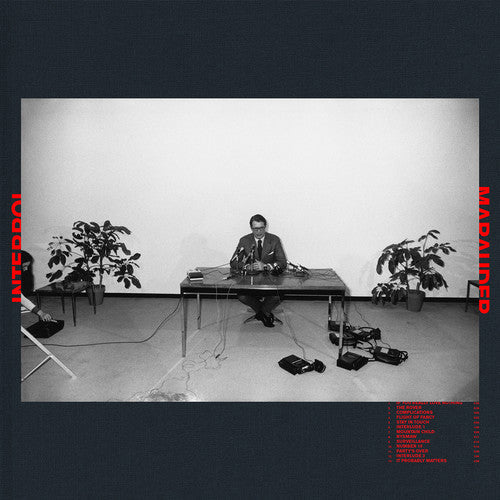 Interpol: Marauder - （ VINYL LP ）