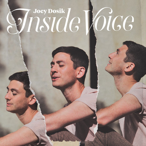 Joey Dosik: Inside Voice (stone White Vinyl) - （ VINYL LP ）