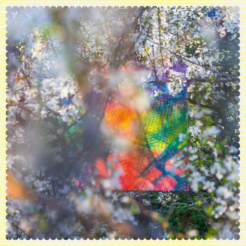 Four Tet: Sixteen Oceans - （ VINYL LP ）