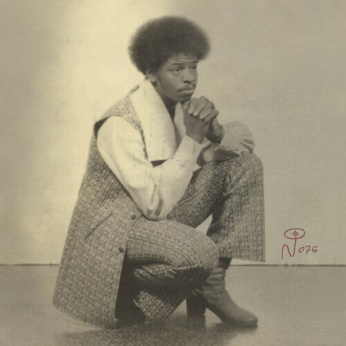 Tommy McGee: I'm A Stranger - （ VINYL LP ）