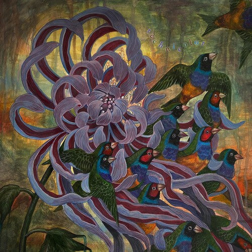 Covet: Technicolor - （ VINYL LP ）