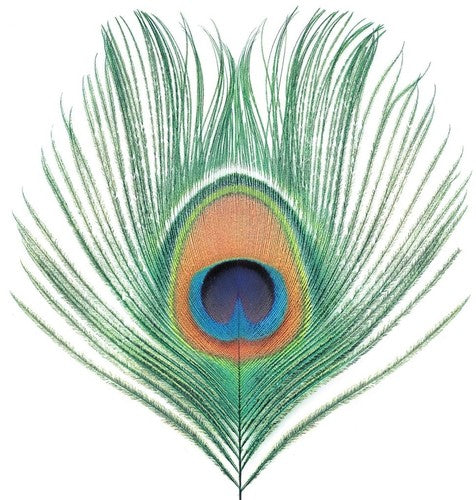 XTC: Apple Venus Vol 1 - （ VINYL LP ）