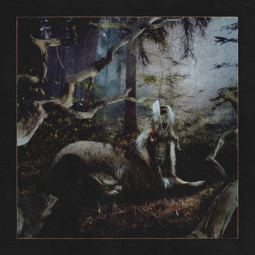 Earl Sweatshirt: Feet Of Clay - （ VINYL LP ）