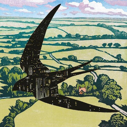 Bibio: Sleep On The Wing - （ VINYL LP ）