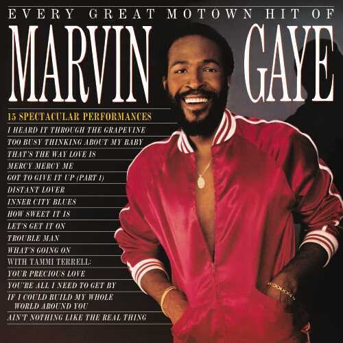 Marvin Gaye: Every Great Motown Hit Of Marvin Gaye: 15 Spectacular Performances - （ VINYL LP ）