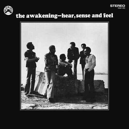 The Awakening: Hear,Sense and Feel - （ VINYL LP ）