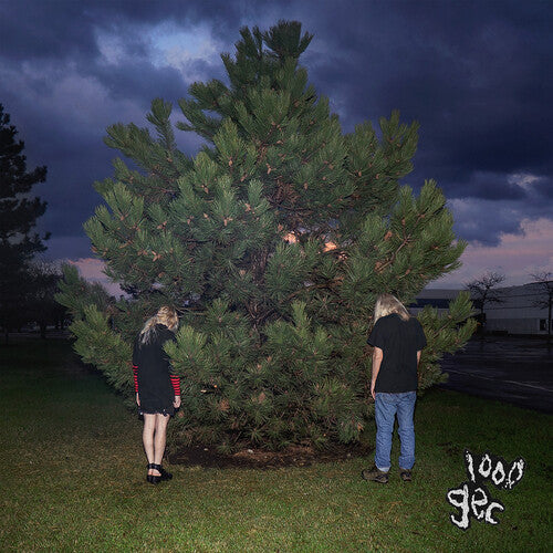 100 gecs: 1000 Gecs - （ VINYL LP ）