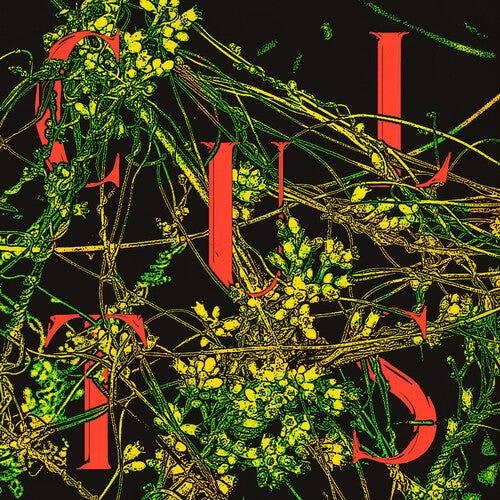 Cults: Host - （ VINYL LP ）