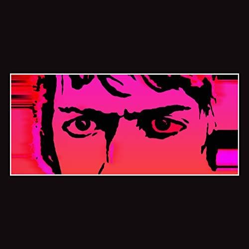 Delicate Steve: Till I Burn Up - （ VINYL LP ）