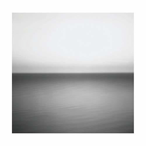 U2: No Line On The Horizon - （ VINYL LP ）