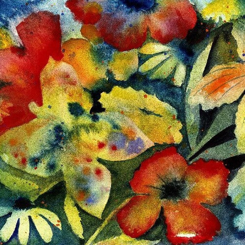 Adrianne Lenker: Songs And Instrumentals - （ VINYL LP ）