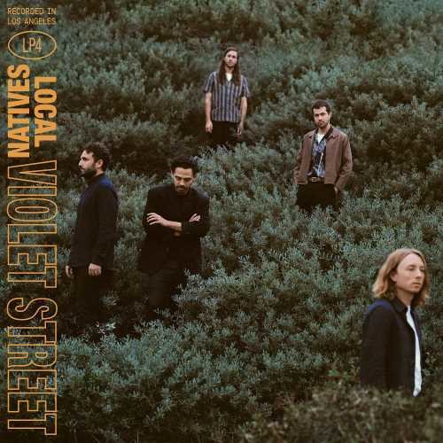 Local Natives: Violet Street - （ VINYL LP ）