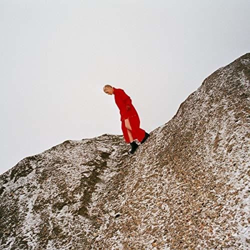 Cate Le Bon: Reward - （ VINYL LP ）