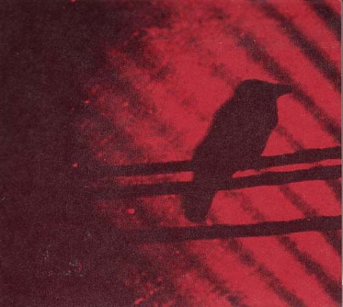 A Silver Mt. Zion: Born Into Trouble As the Sparks Fly Upward - （ VINYL LP ）