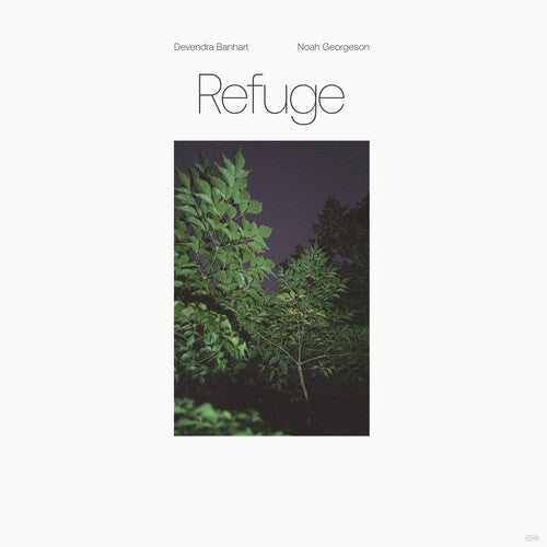 Devendra Banhart: Refuge (Blue Seaglass Wave Translucent Vinyl) - （ VINYL LP ）