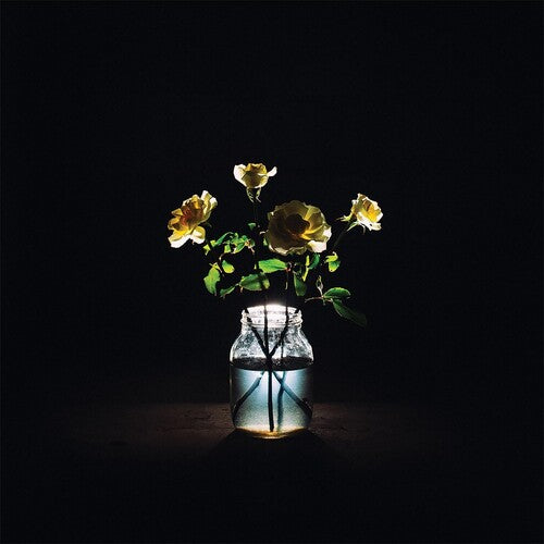 Billy Strings: Renewal - （ VINYL LP ）