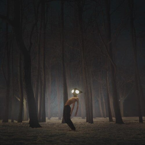 Geese: Projector - （ VINYL LP ）