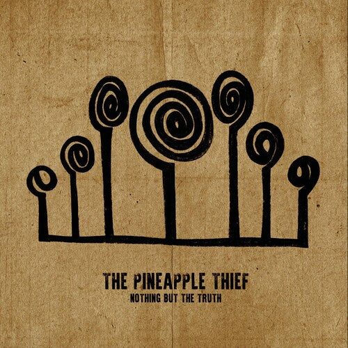 Pineapple Thief: Nothing But The Truth - （ VINYL LP ）