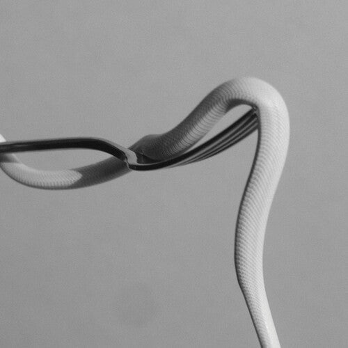 Animals as Leaders: Parrhesia - （ VINYL LP ）