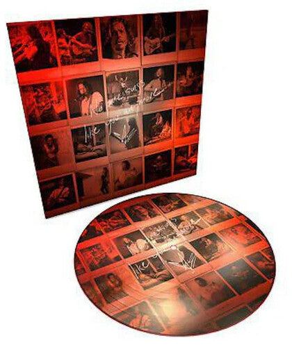 Chris Cornell: No One Sings Like You Anymore - （ VINYL LP ）