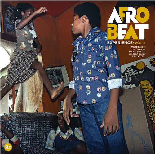 Afrobeat Experience: Vol 1 - （ VINYL LP ）