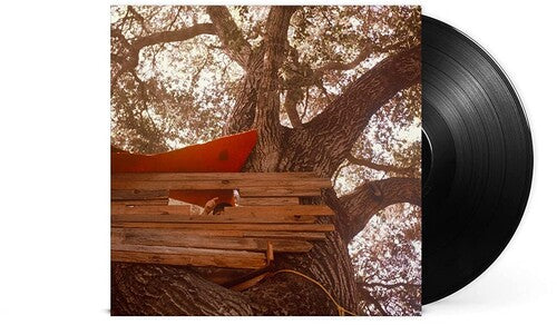 Backseat Lovers: Waiting To Spill - （ VINYL LP ）