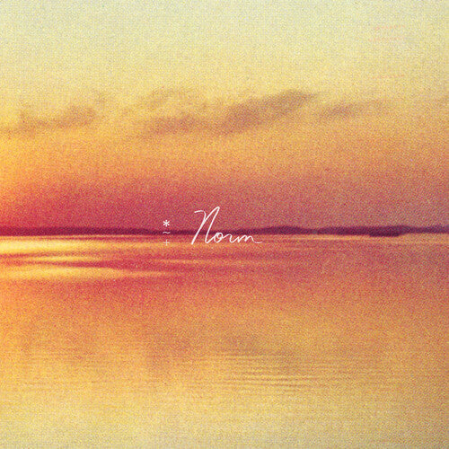 Andy Shauf: Norm - （ VINYL LP ）