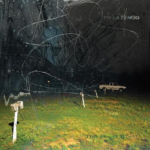 Yo La Tengo: This Stupid World - （ VINYL LP ）