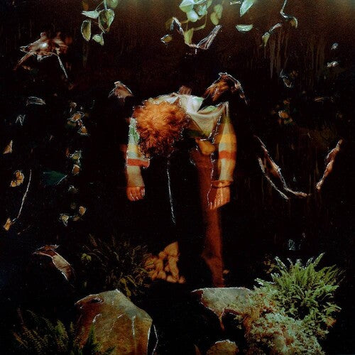 Cavetown: Worm Food - （ VINYL LP ）