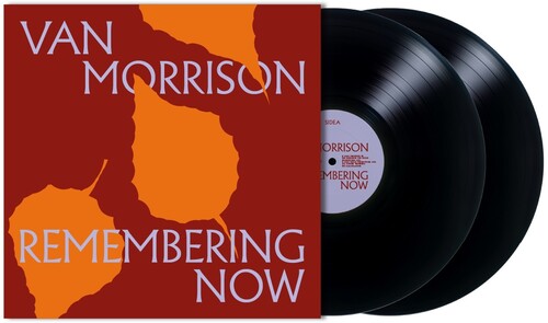 Van Morrison: Remembering Now - （ VINYL LP ）