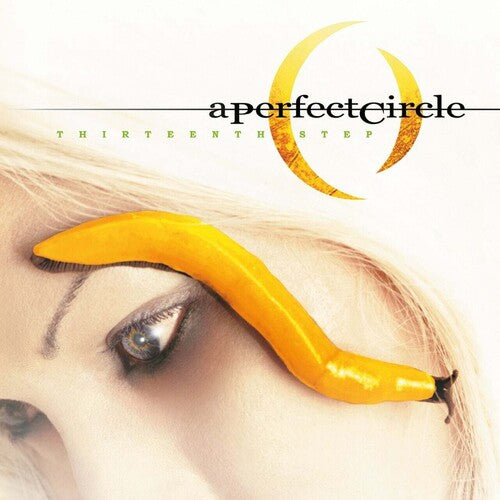 A Perfect Circle: Thirteenth Step - （ VINYL LP ）
